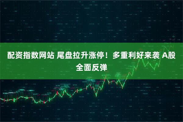 配资指数网站 尾盘拉升涨停！多重利好来袭 A股全面反弹