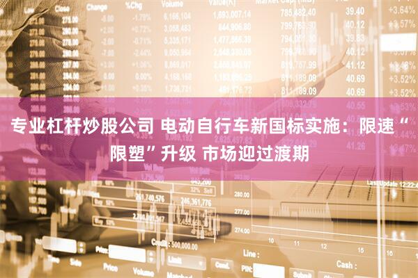 专业杠杆炒股公司 电动自行车新国标实施：限速“限塑”升级 市场迎过渡期